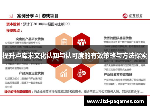 提升卢库米文化认知与认可度的有效策略与方法探索